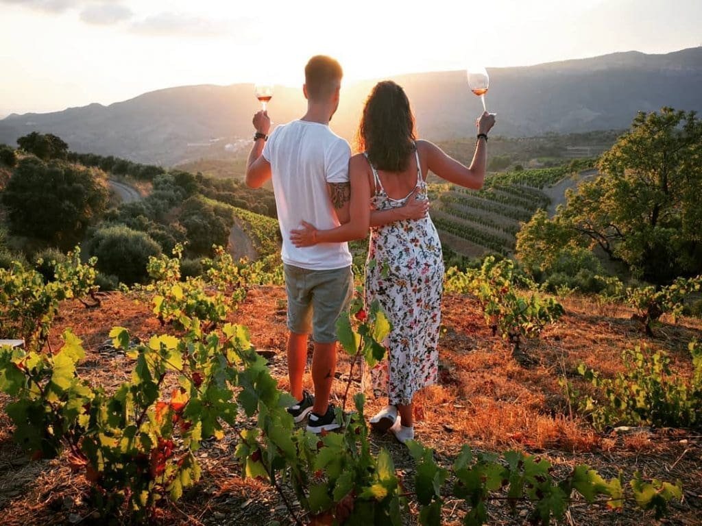 wine tasting in priorat at sunset