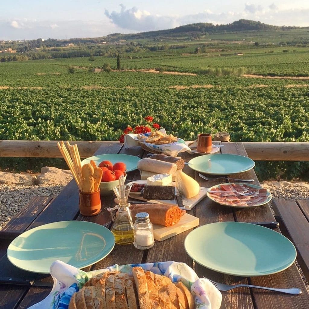 Lunch at the winery near Barcelona