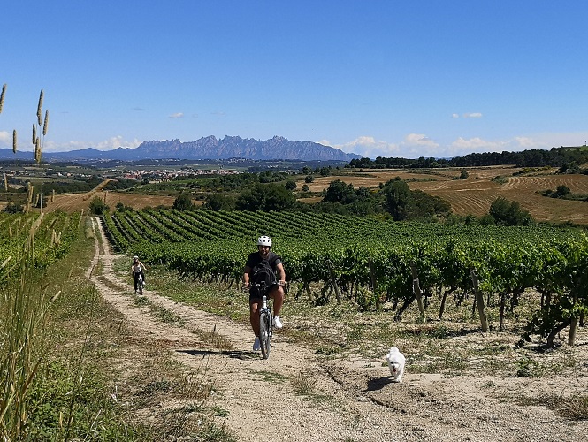 simple route bike penedes