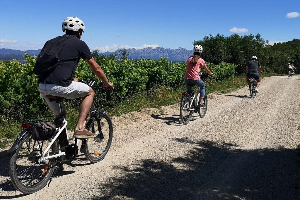 ebike penedes con cata de vinos