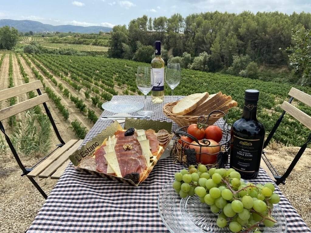 brunch meal at biodynamic winery in Penedes