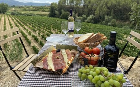 brunch meal at biodynamic winery in Penedes