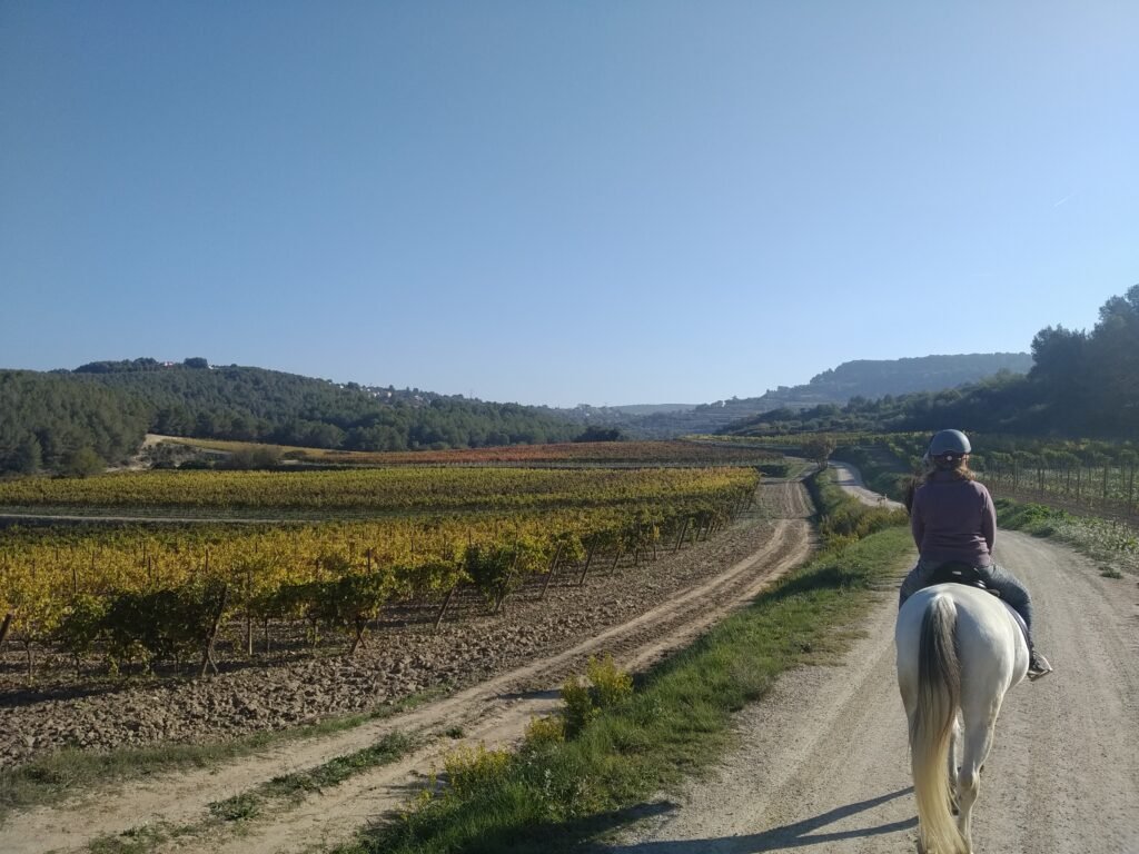 Horseback riding penedes