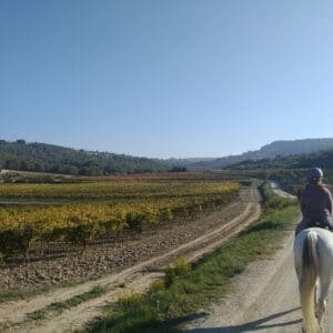 Horseback riding penedes