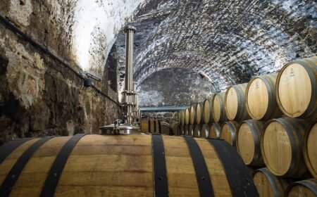 Barrel room of the historic Priorat winery