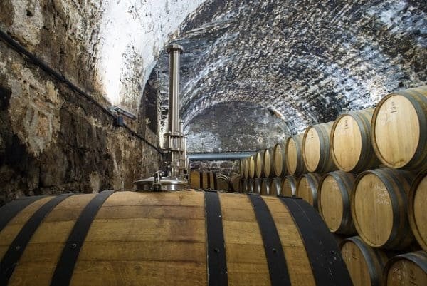 Barrel room of the historic Priorat winery