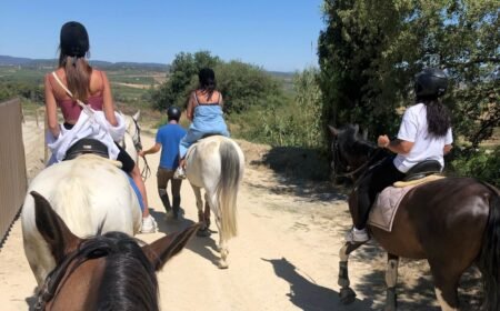 horse ride through vineyards