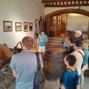 visita bodegas del penedés