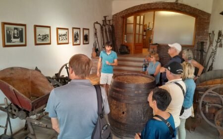 family visit to the penedés wineries