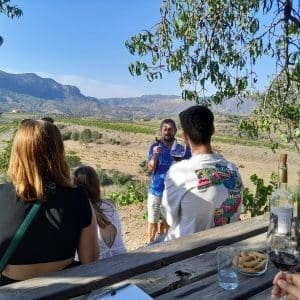 Cata de vinos entre viñedos priorat