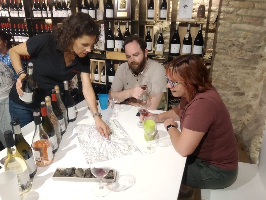 visita privada de bodegas Priorat