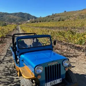 Priorat wine tour