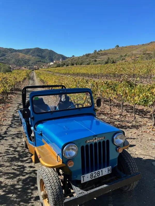 Priorat wine tour