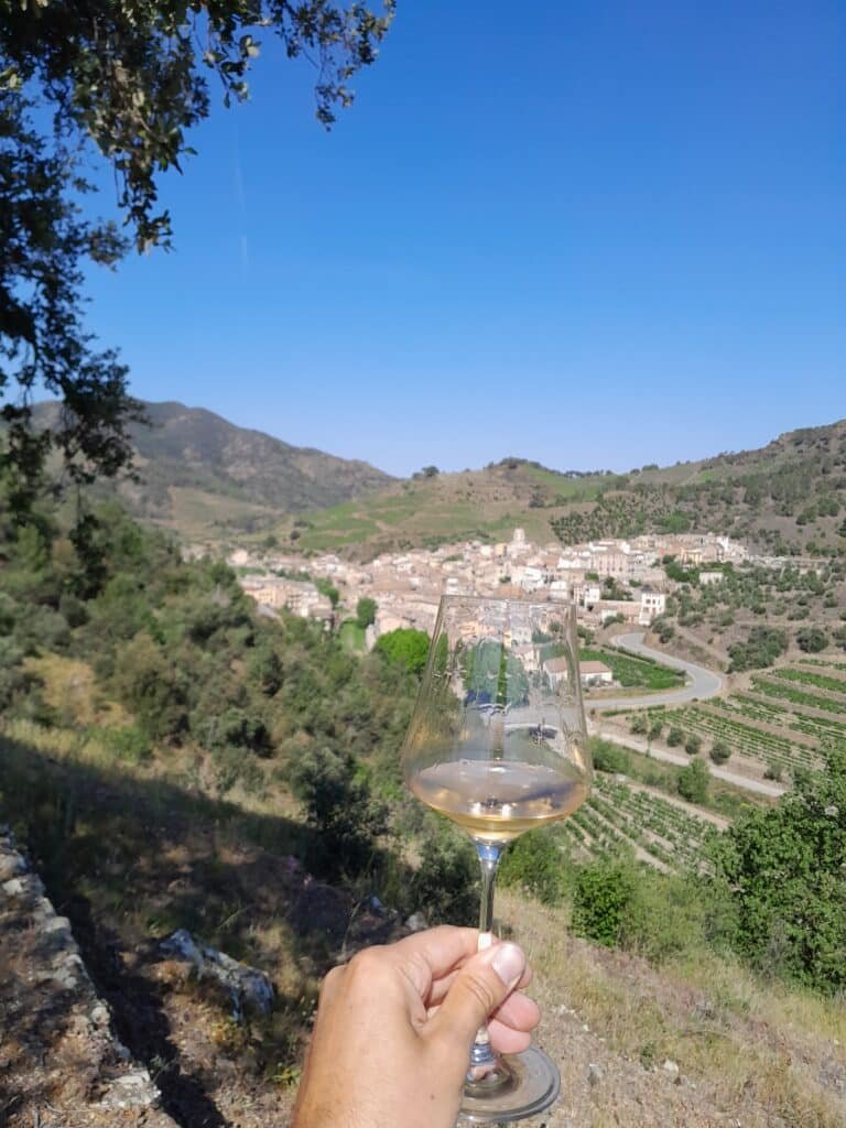 Priorat wine tasting