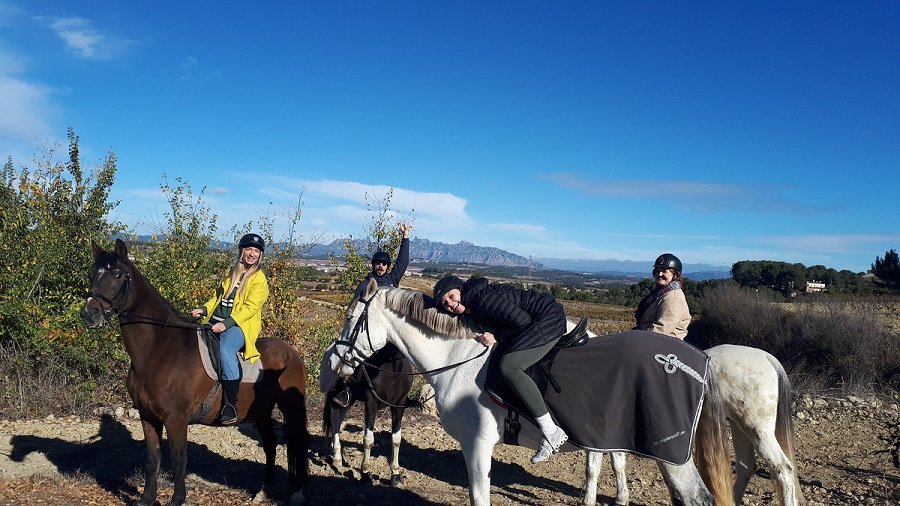Penedes group activities horse ride