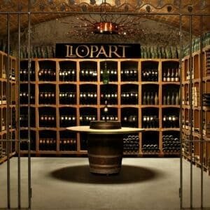 visit llopart winery