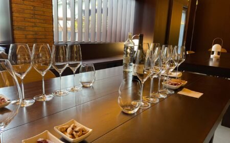 private wine tour in penedes