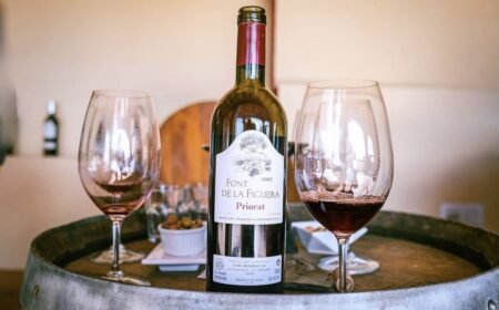 clos figueras winery visit with wine and food pairing