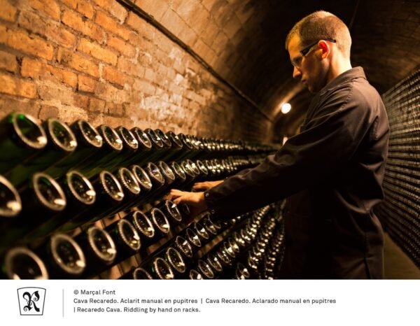 about the elaboration of cava penedes