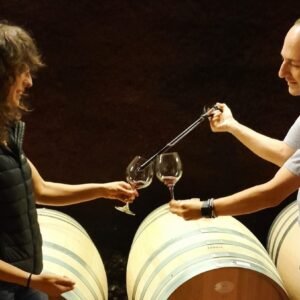 Route of the quality wines of Priorat