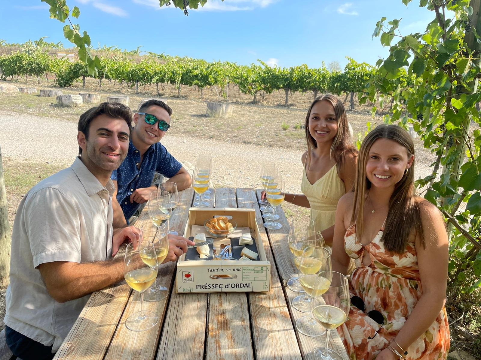 cava pairing in the penedes region