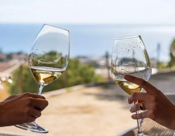 Cata de vinos en Alella con vistas al Mar