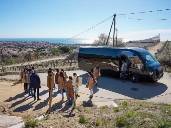 Tour desde Barcelona a bodega