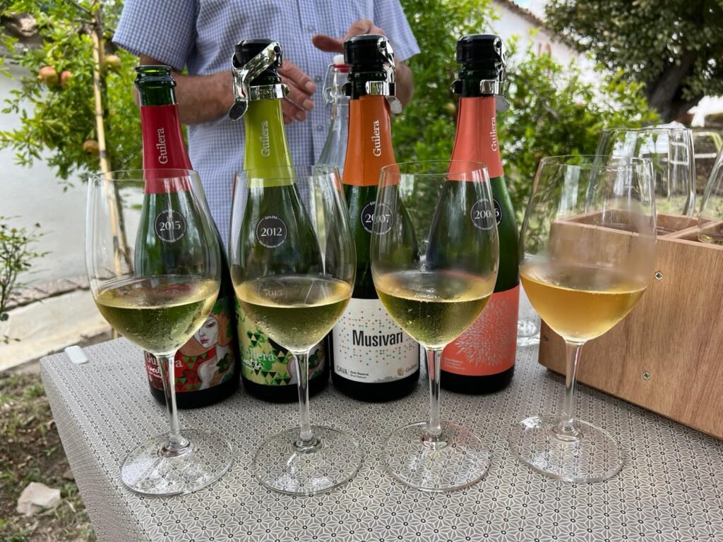 Cata de cava Gran Reserva Premium