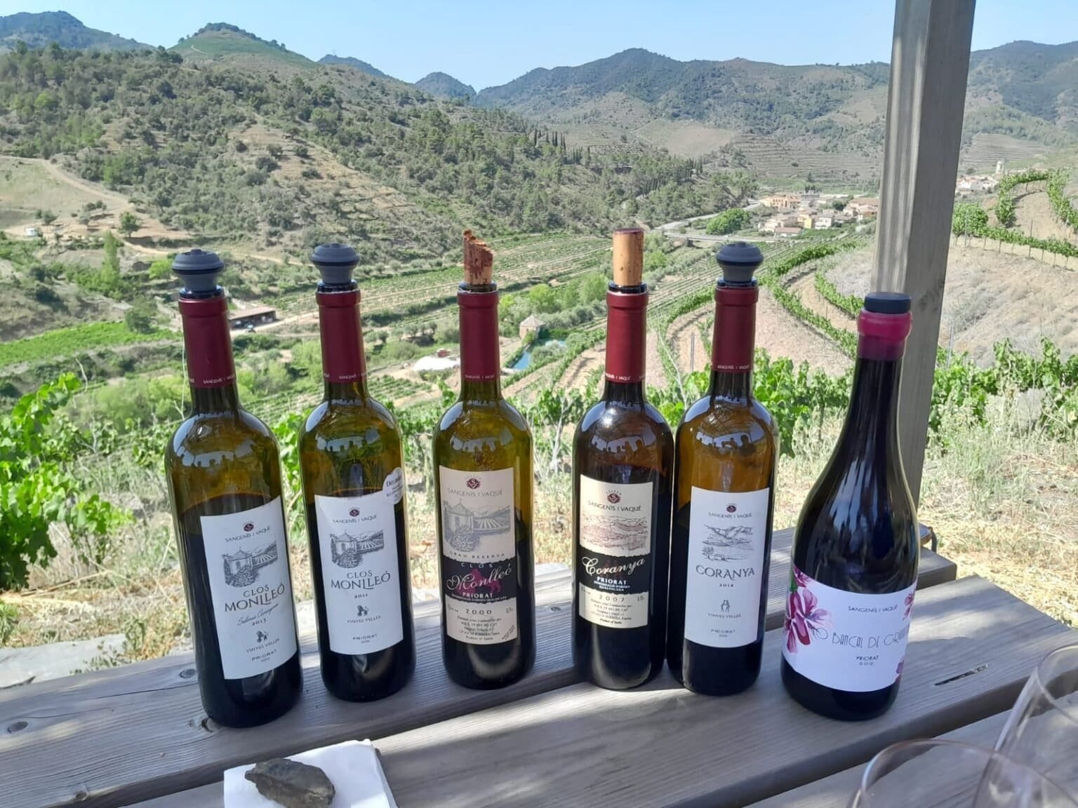 Priorat wine tasting