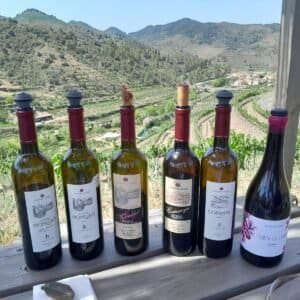 Priorat wine tasting
