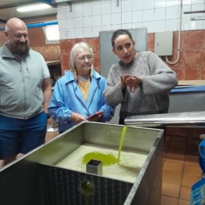 olive oil farm near barcelona