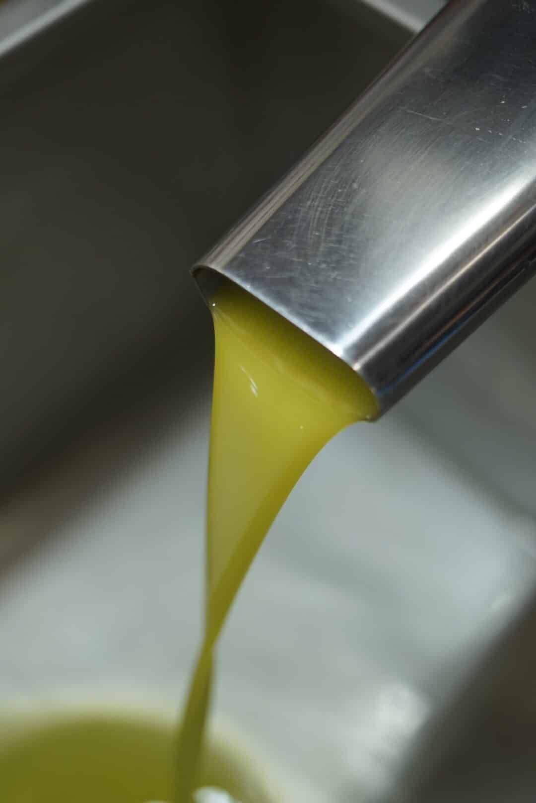 olive oil tour from barcelona