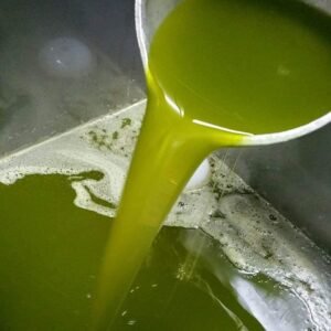 olive oil tasting near barcelona