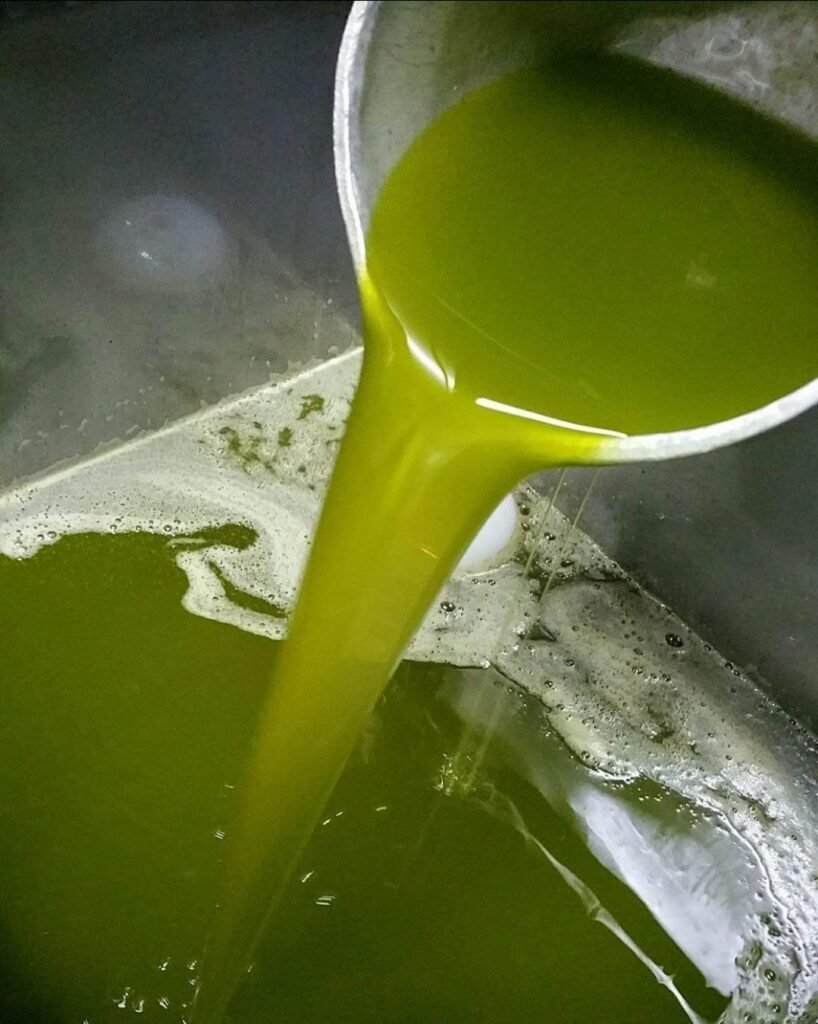 olive oil tasting near barcelona