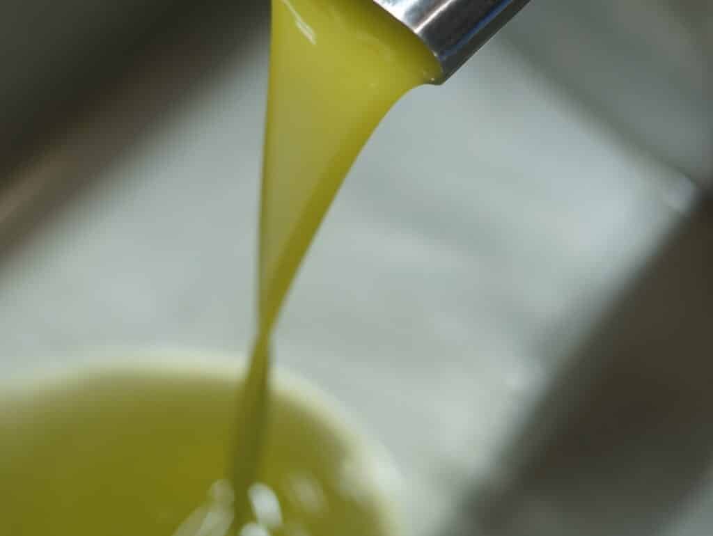 wine and olive oil tours near barcelona