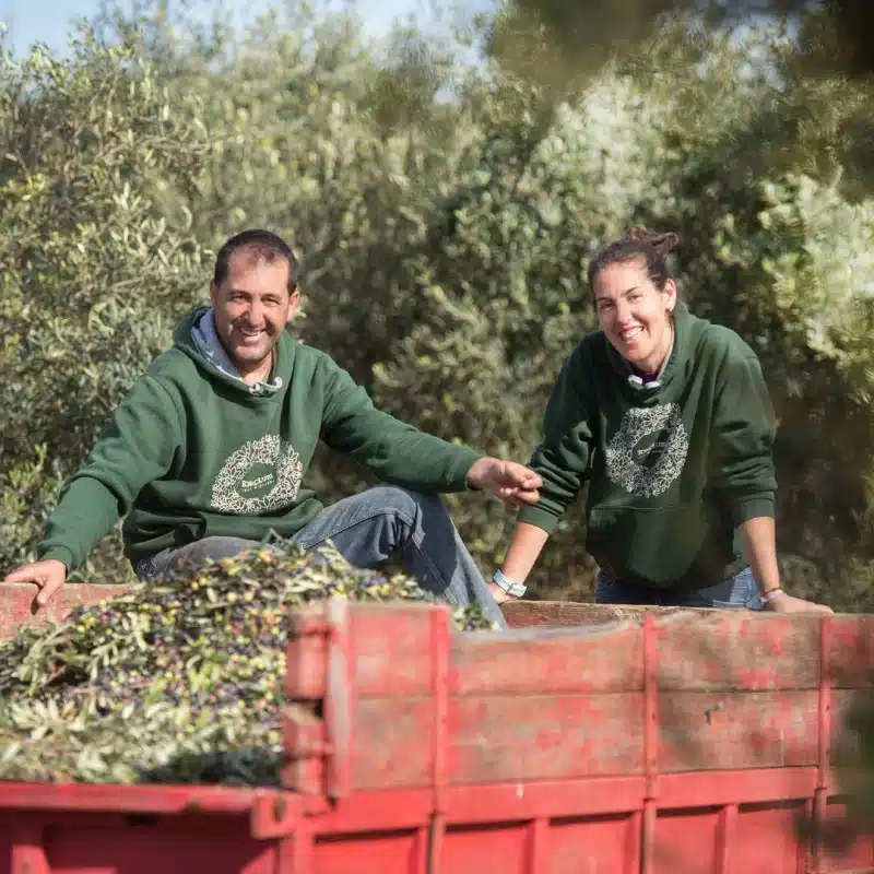 ruta del aceite de oliva cerca de barcelona